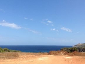 13697277_1156951207658685_7103046766985162746_n