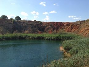 13770239_1156951850991954_1676631782147572630_n