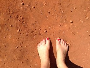 13775934_1156951657658640_7576515910495695460_n