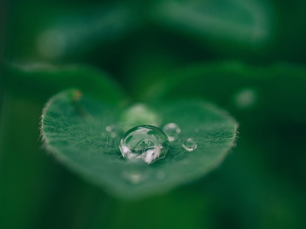 aaron-burden-265916-unsplash