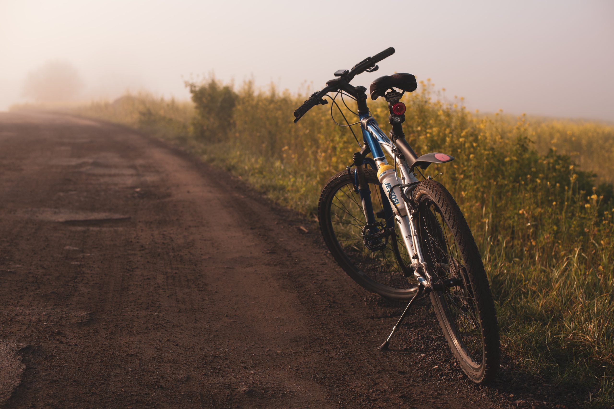 bicicletta