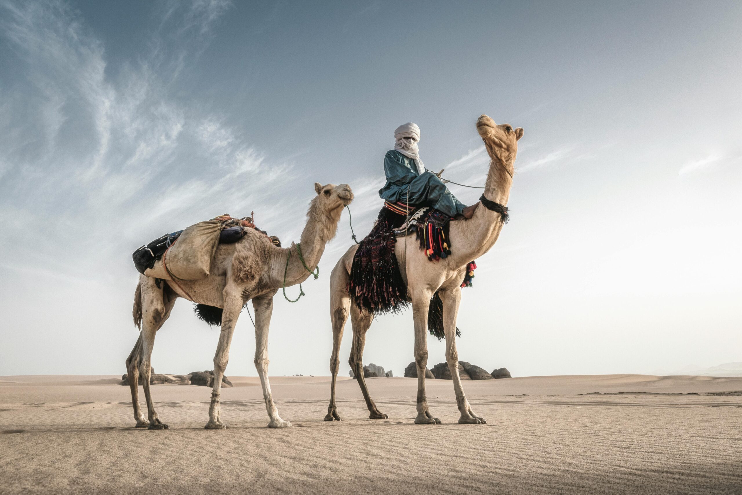Tuareg